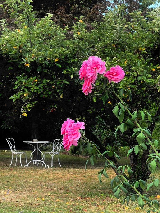 L'Escale Chambres Et Table D'Hotes Verdun-sur-le-Doubs Екстер'єр фото